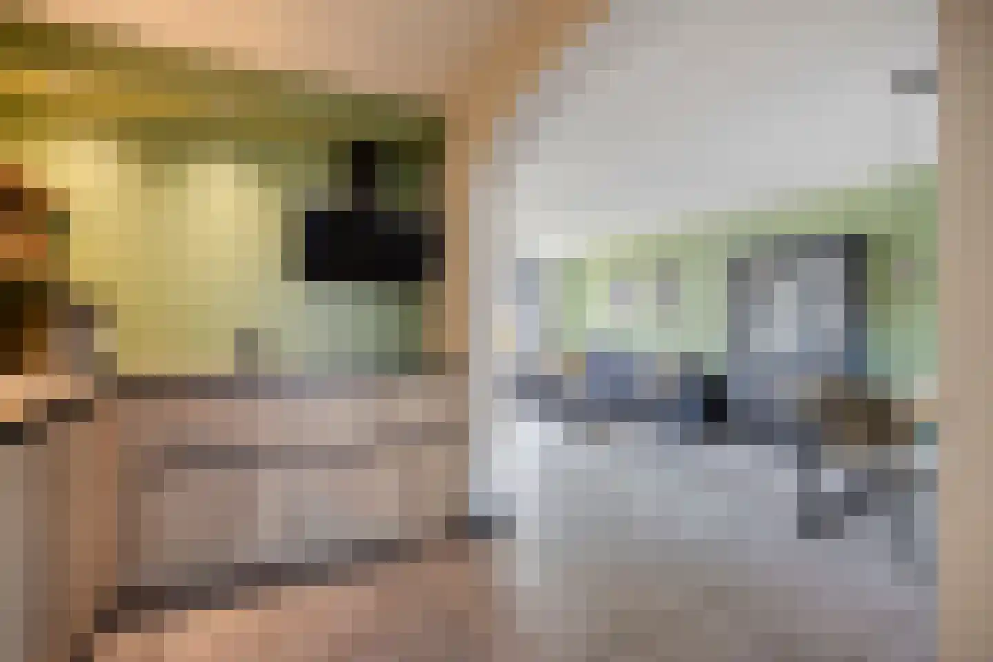van Darthlaan 14 Lottum thumbnail 11