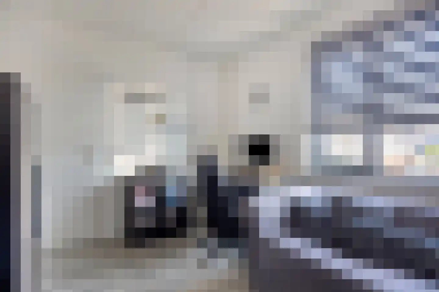 van Darthlaan 14 Lottum thumbnail 20
