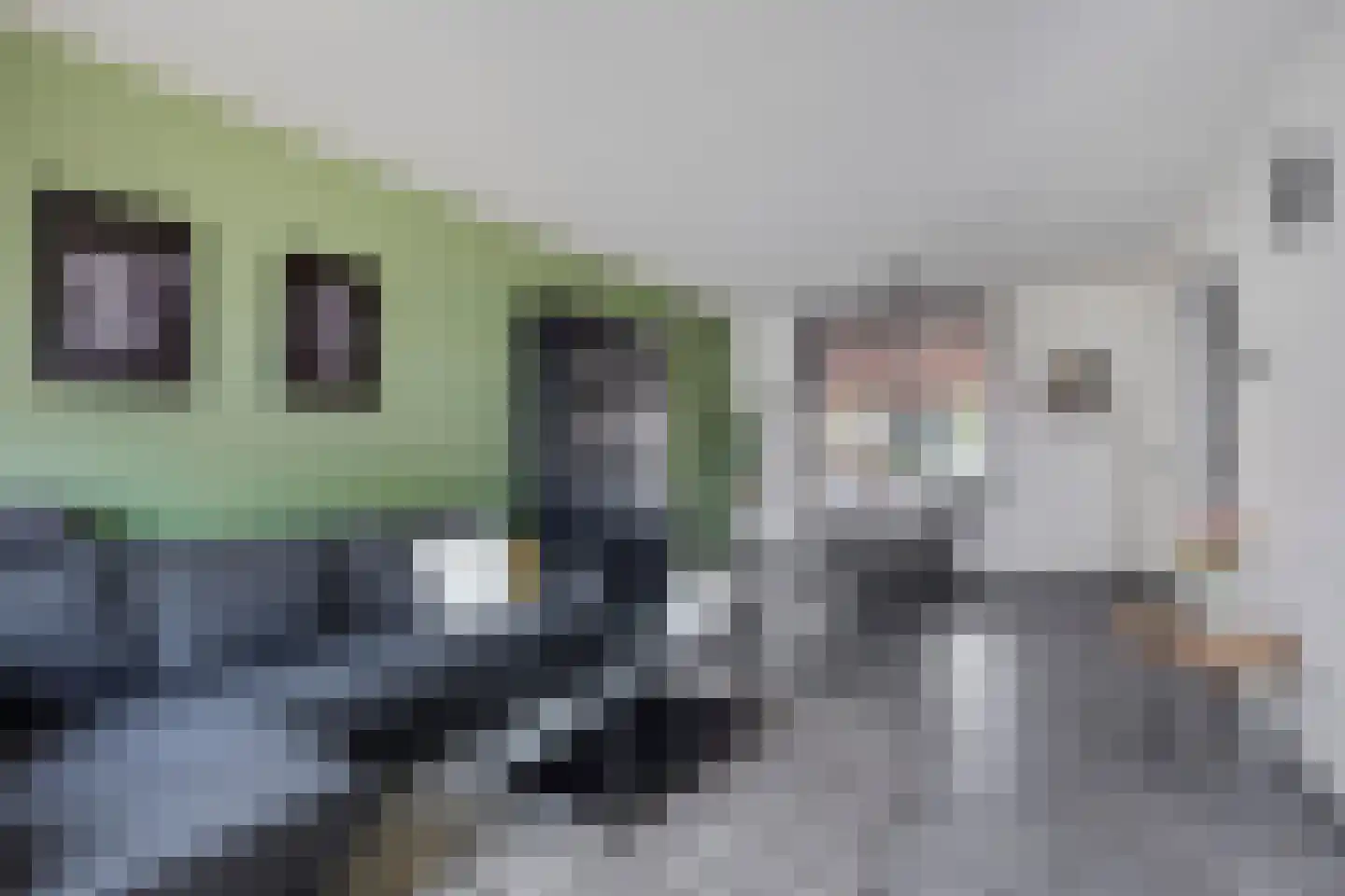 van Darthlaan 14 Lottum thumbnail 4