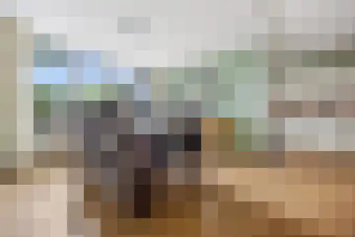 Van de Bleekstraat 39 Terschuur thumbnail 10