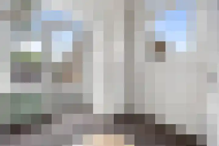 Van de Bleekstraat 39 Terschuur thumbnail 14