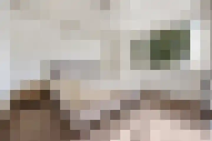 Van de Bleekstraat 39 Terschuur thumbnail 17