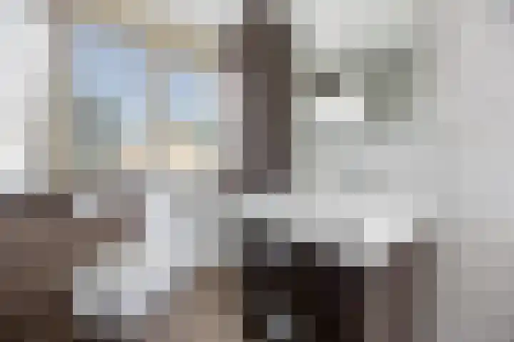 Van de Bleekstraat 39 Terschuur thumbnail 23