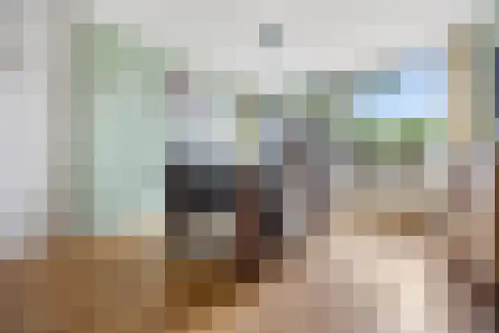 Van de Bleekstraat 39 Terschuur thumbnail 9