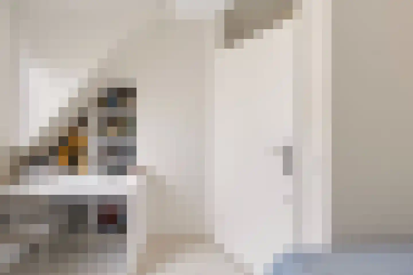 Van de Cappellestraat 18 Ede thumbnail 16