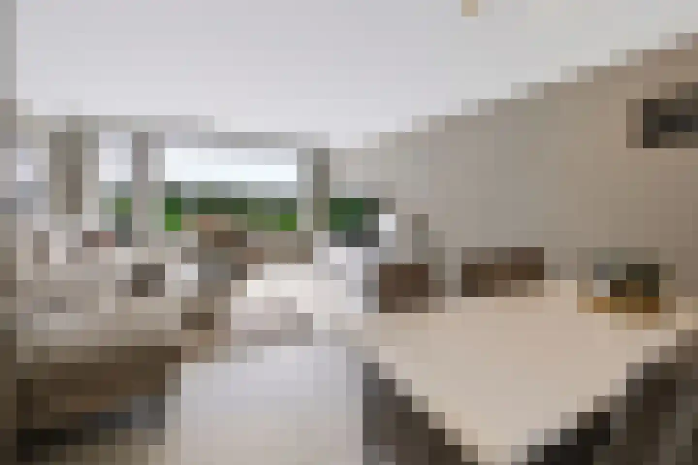 Van de Cappellestraat 18 Ede thumbnail 5