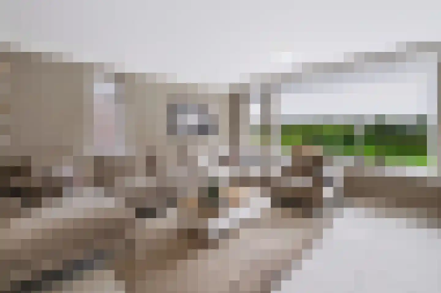 Van de Cappellestraat 18 Ede thumbnail 6