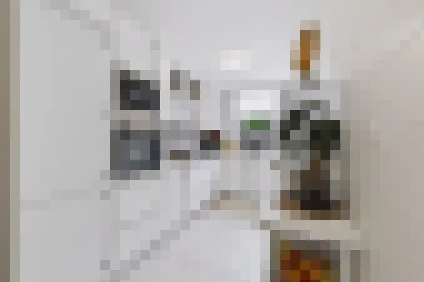 Van de Cappellestraat 18 Ede thumbnail 8