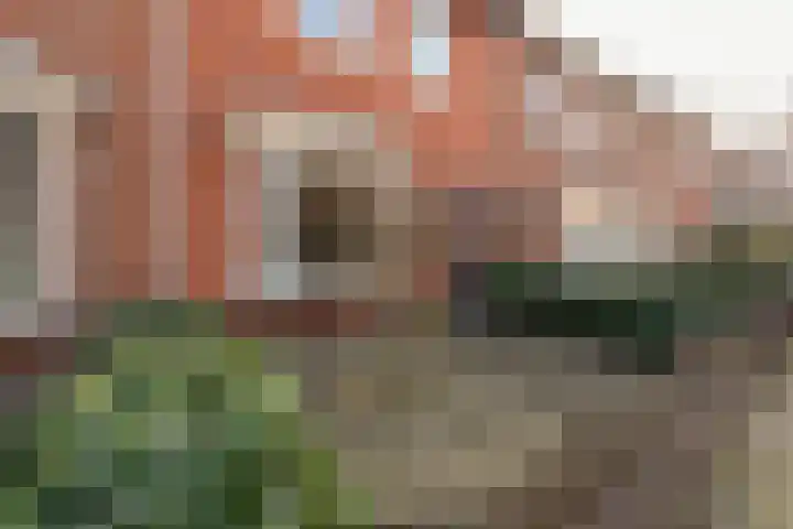 Van de Coulsterstraat 102 Tilburg thumbnail 43