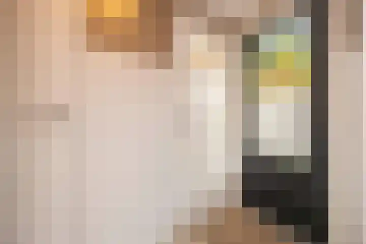 Van de Coulsterstraat 46 Tilburg thumbnail 17
