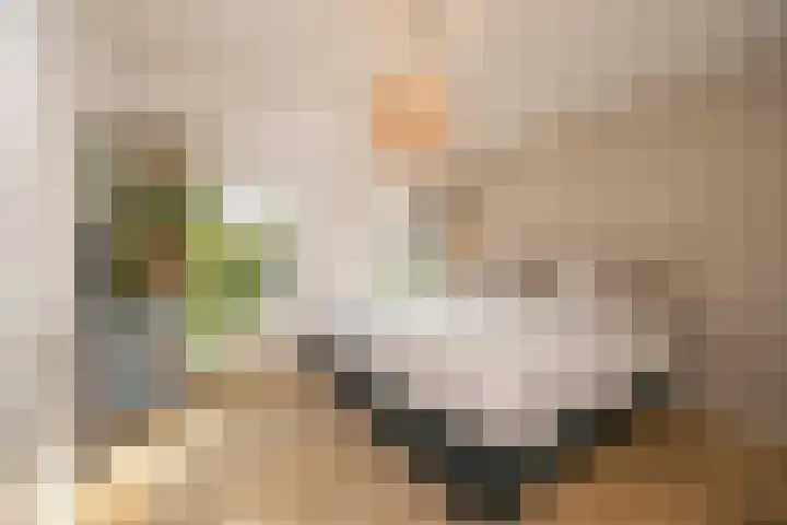 Van de Coulsterstraat 46 Tilburg thumbnail 22