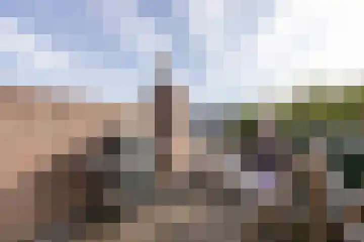 Van de Coulsterstraat 46 Tilburg thumbnail 31