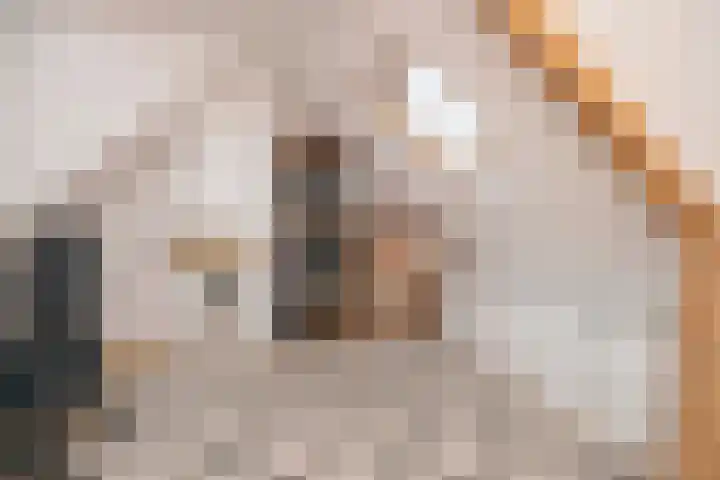 Van de Coulsterstraat 46 Tilburg thumbnail 36