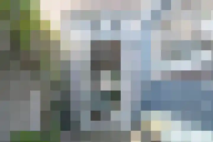 Van de Coulsterstraat 46 Tilburg thumbnail 47