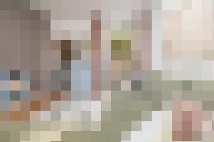 Van de Coulsterstraat 46 Tilburg thumbnail 5