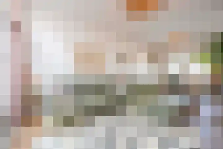 Van de Coulsterstraat 46 Tilburg thumbnail 6