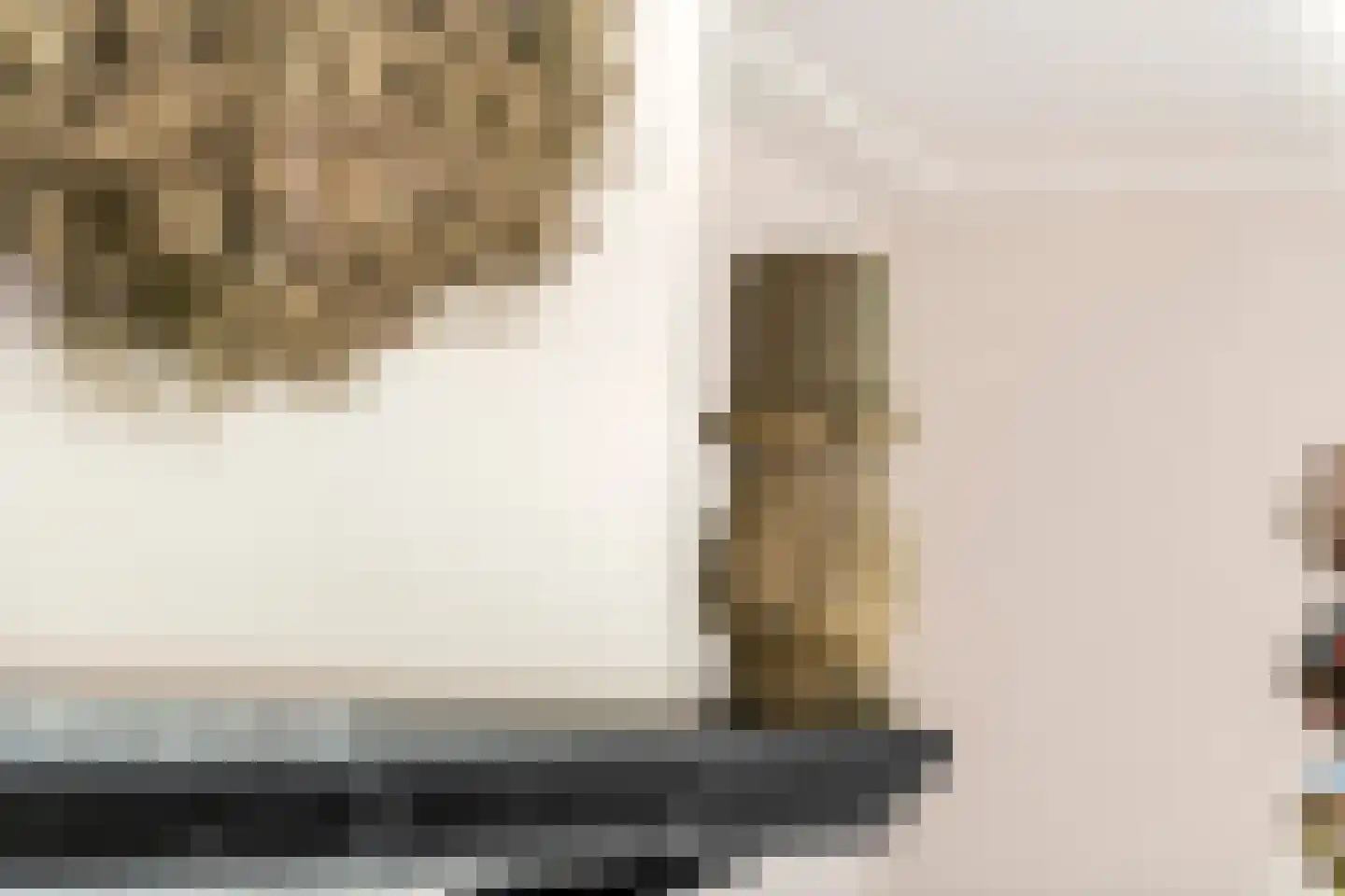 van de Geerstraat 13 Maurik thumbnail 11