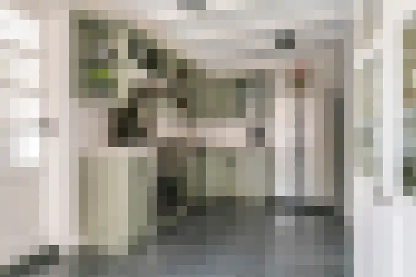 van de Geerstraat 13 Maurik thumbnail 14