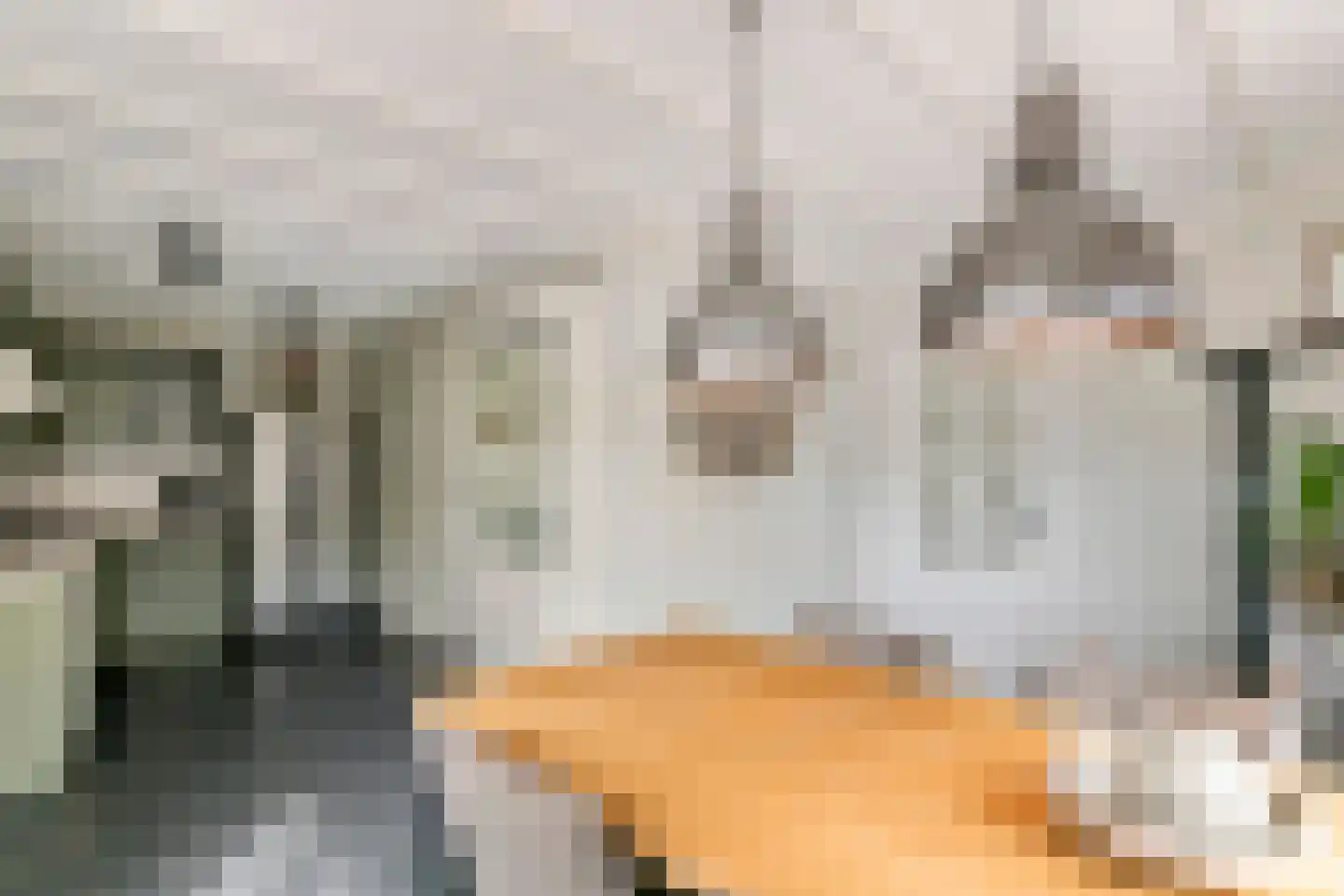 van de Geerstraat 13 Maurik thumbnail 16