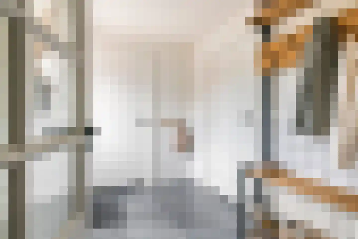 van de Geerstraat 13 Maurik thumbnail 23