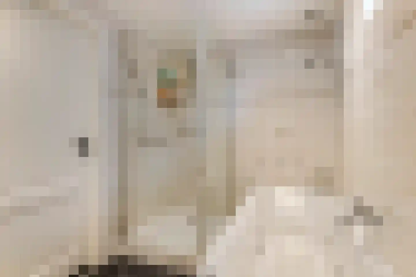 van de Geerstraat 13 Maurik thumbnail 25