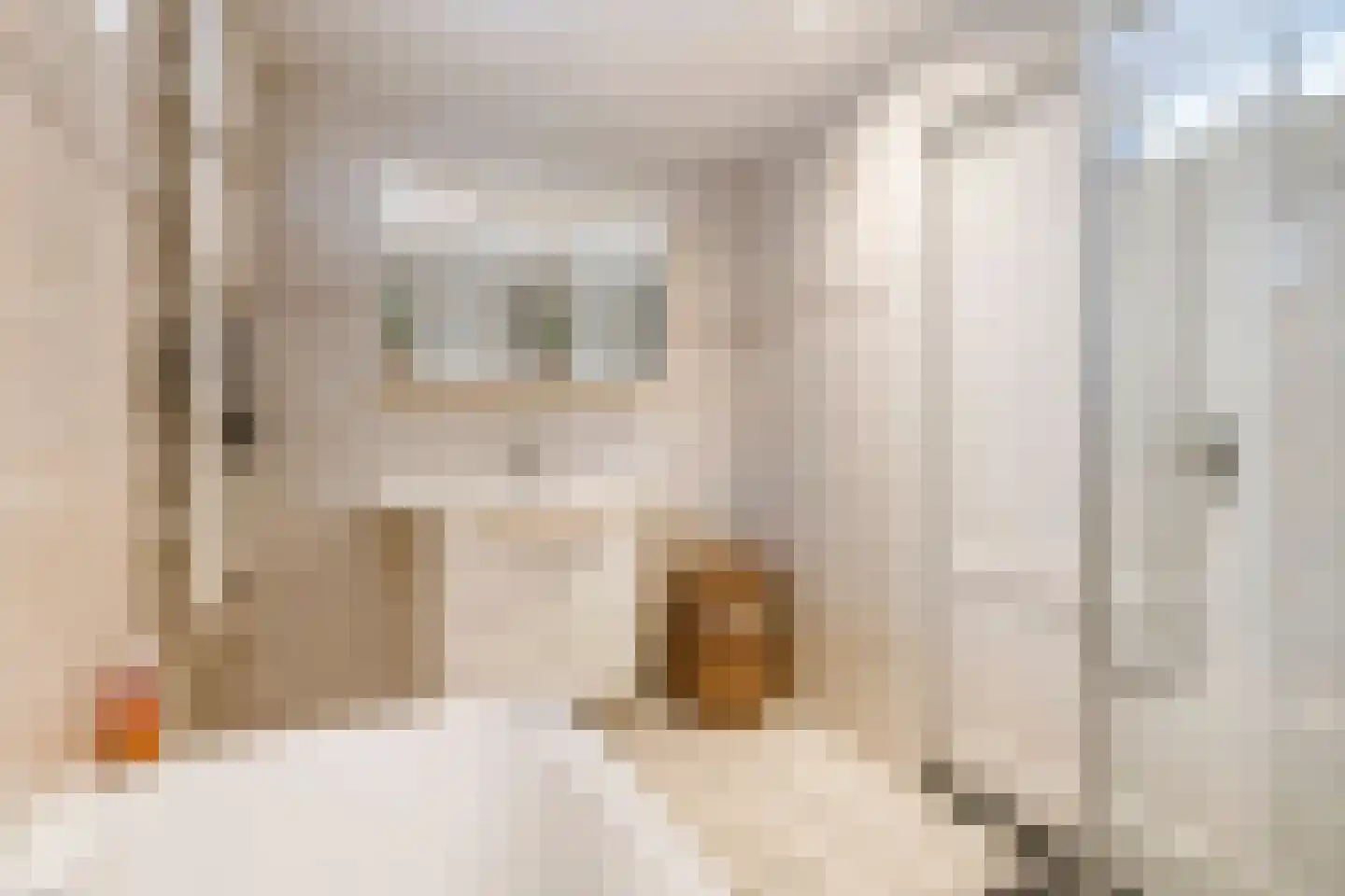 van de Geerstraat 13 Maurik thumbnail 26