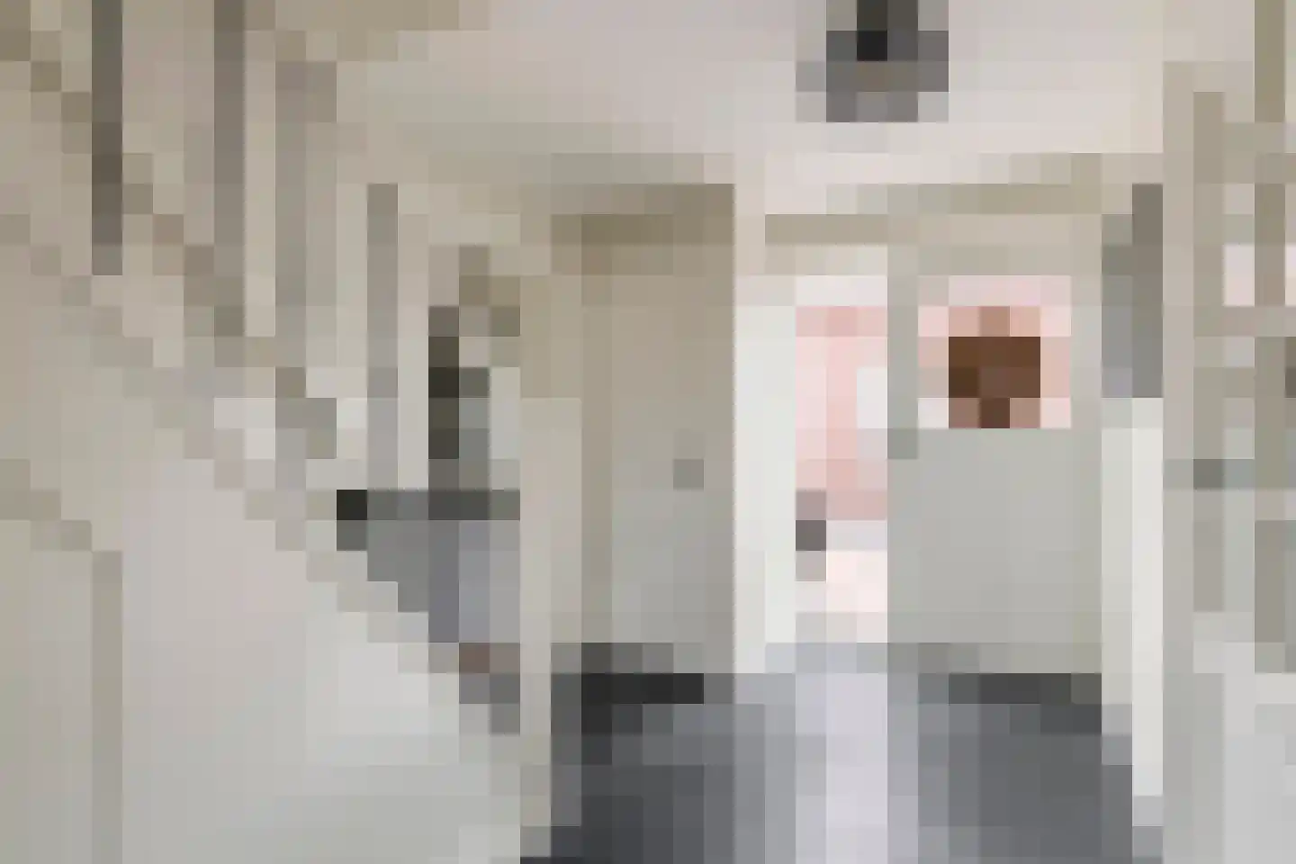 van de Geerstraat 13 Maurik thumbnail 28