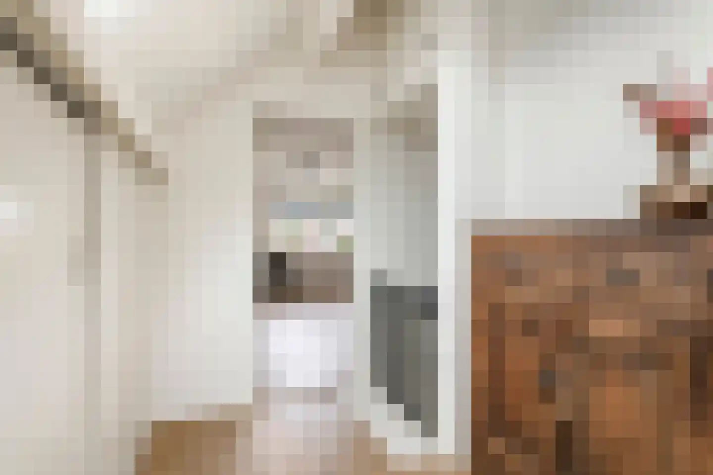 van de Geerstraat 13 Maurik thumbnail 30