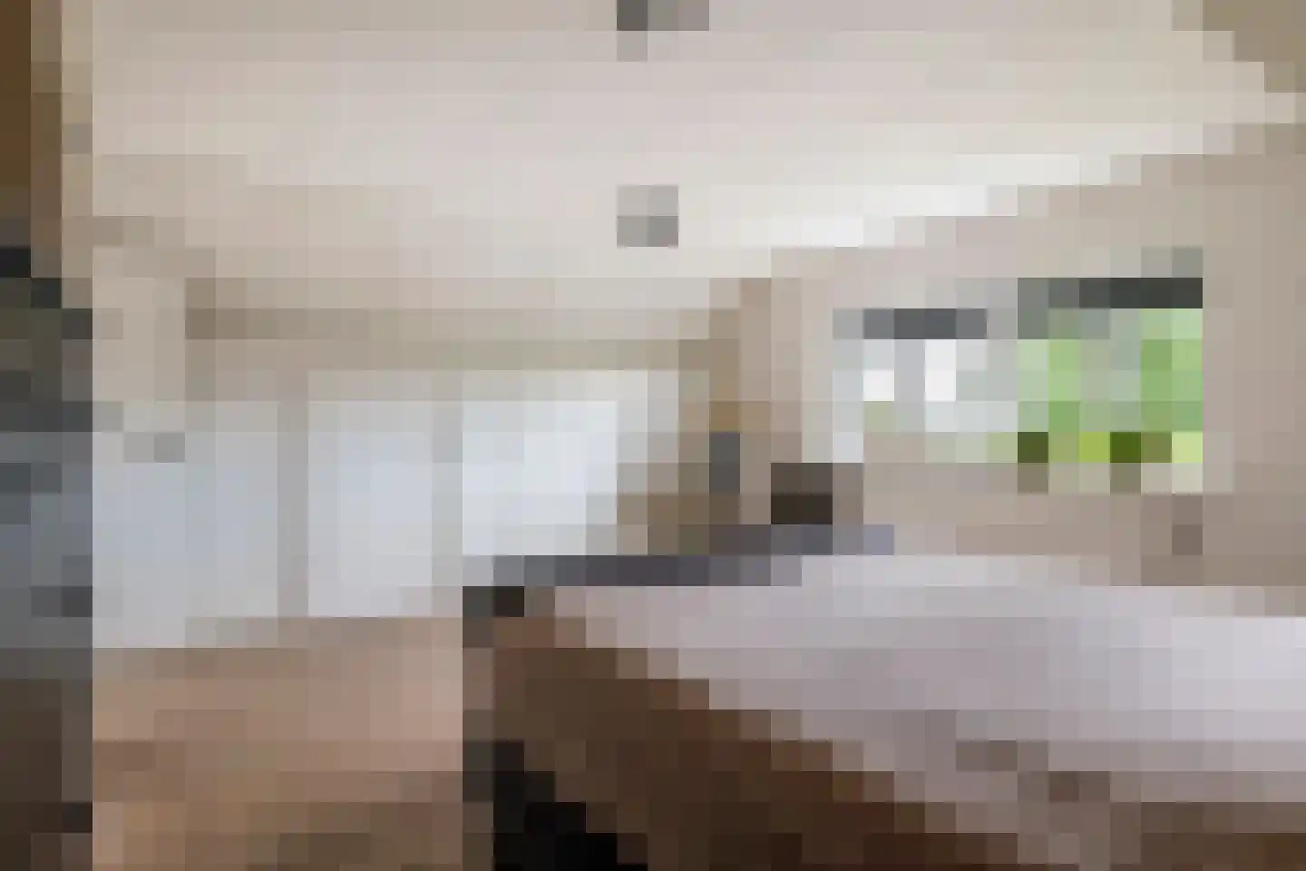 van de Geerstraat 13 Maurik thumbnail 33