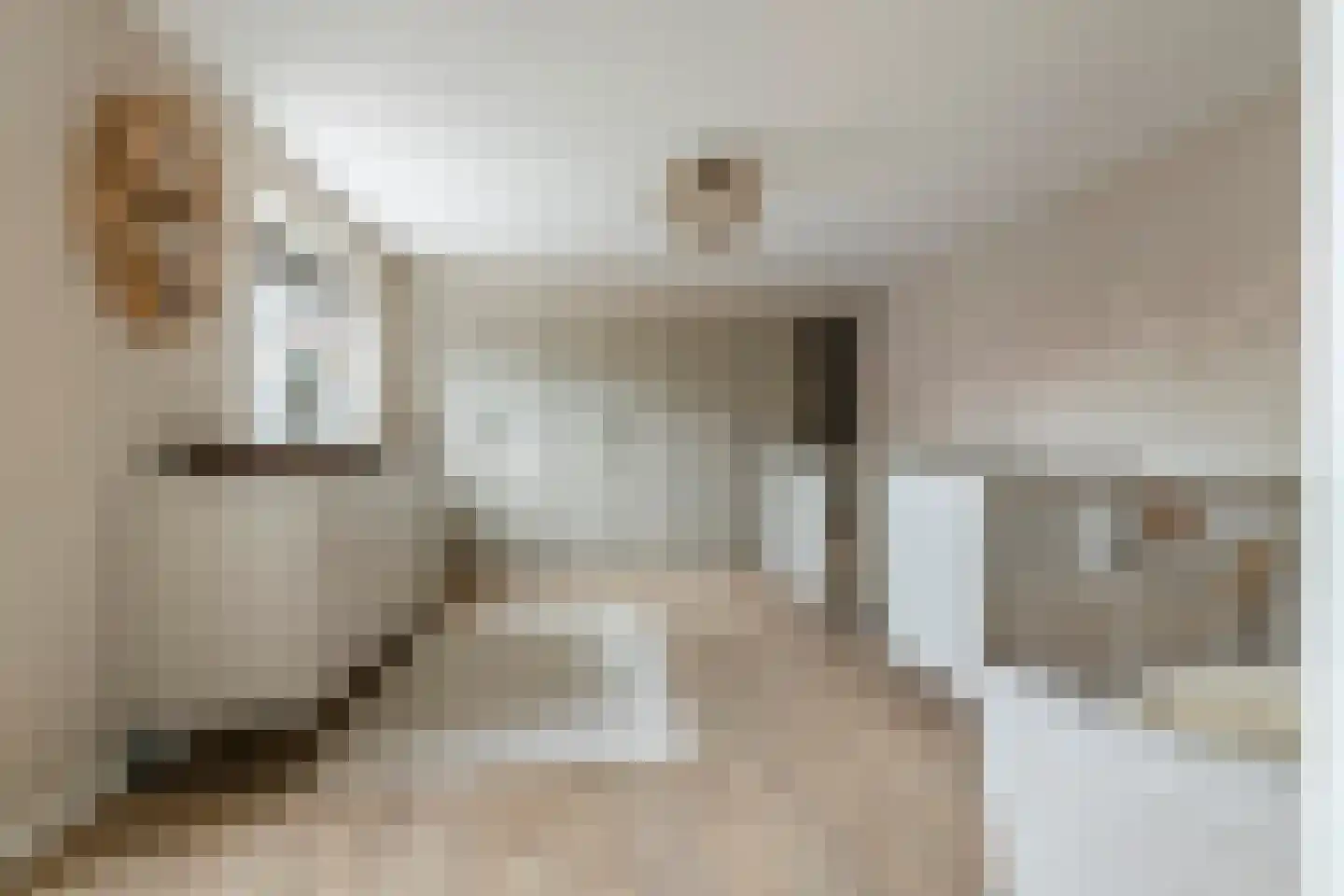van de Geerstraat 13 Maurik thumbnail 37