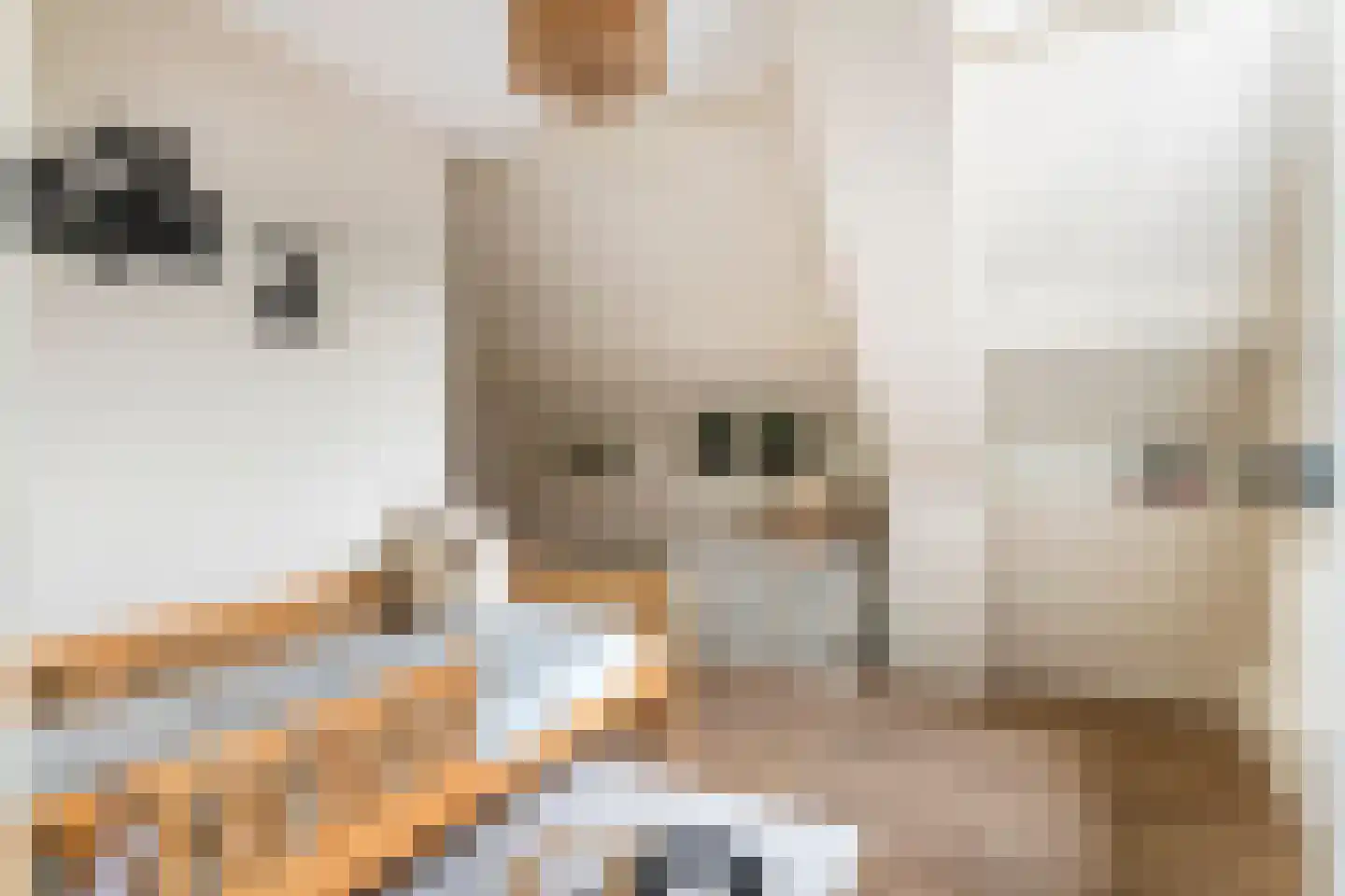 van de Geerstraat 13 Maurik thumbnail 41