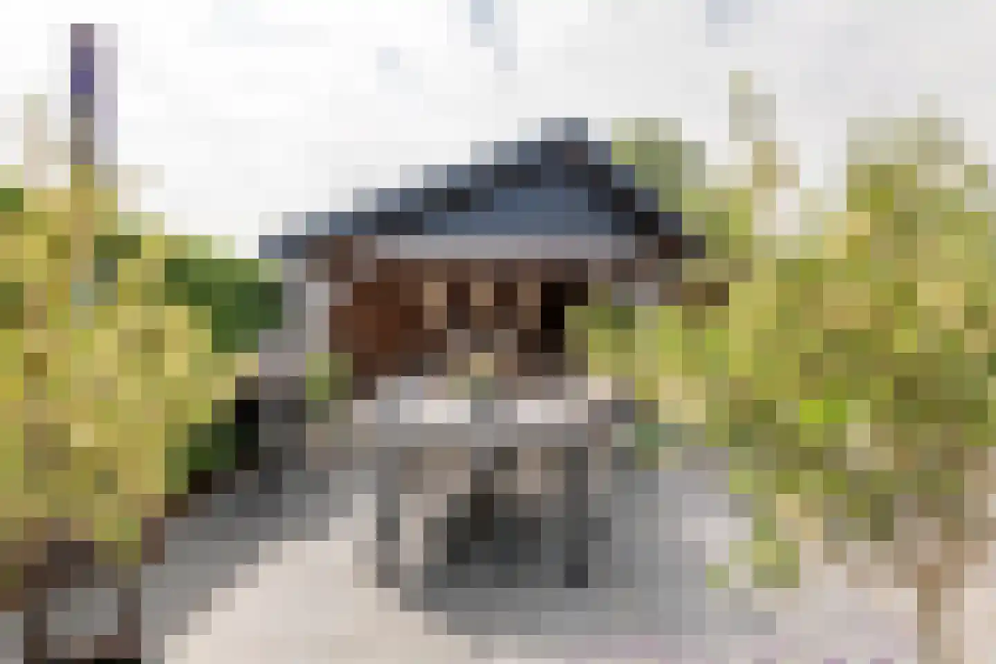 van de Geerstraat 13 Maurik thumbnail 48