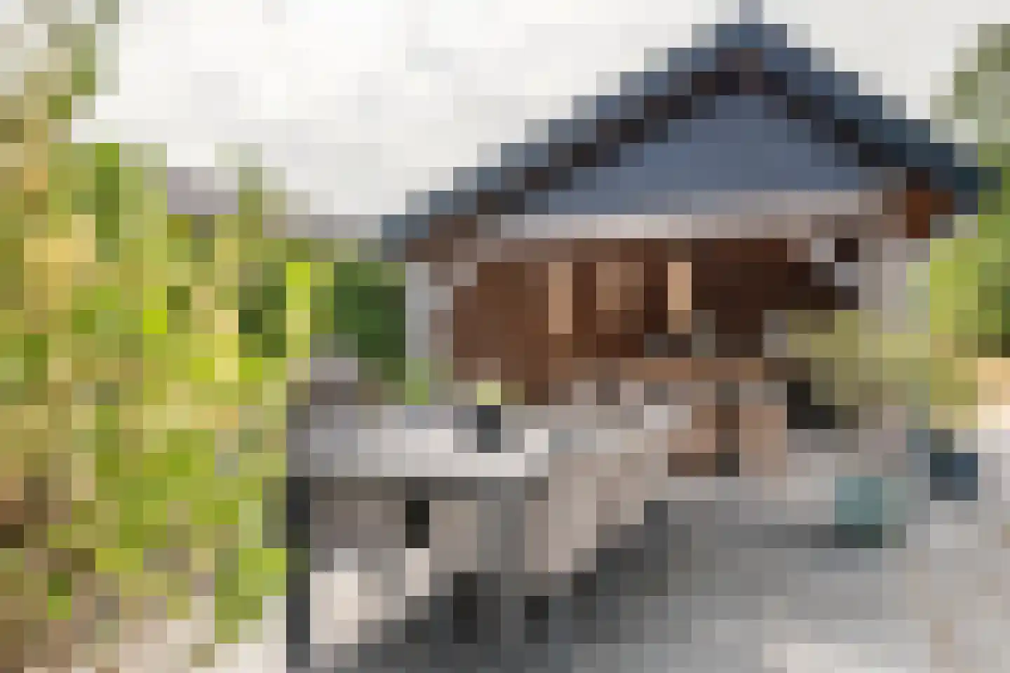 van de Geerstraat 13 Maurik thumbnail 49