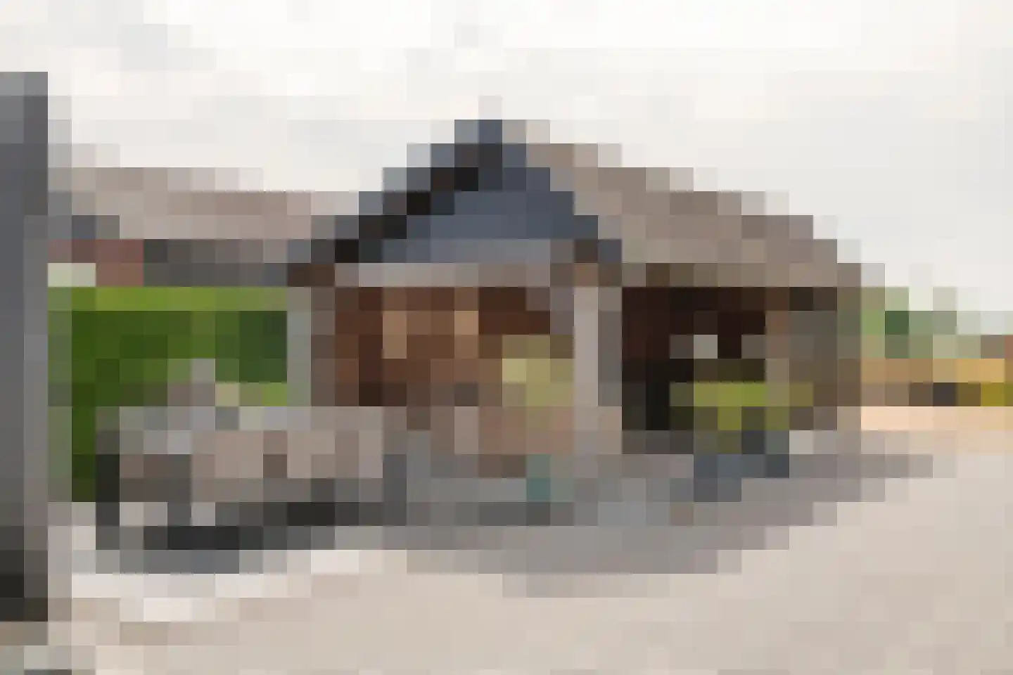 van de Geerstraat 13 Maurik thumbnail 50