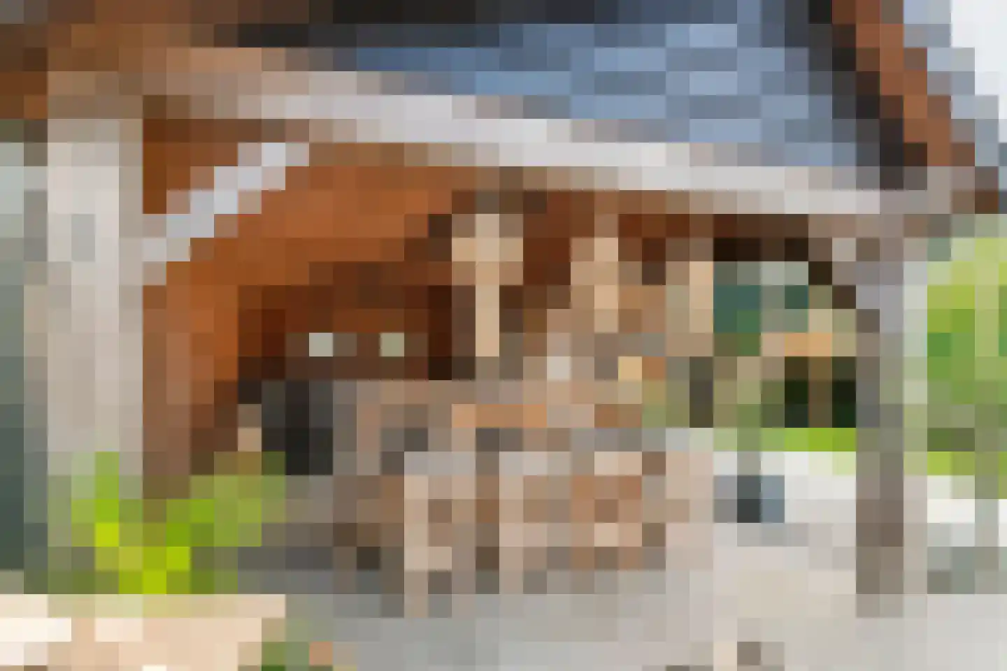 van de Geerstraat 13 Maurik thumbnail 51