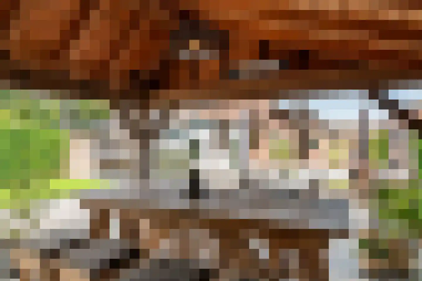 van de Geerstraat 13 Maurik thumbnail 52