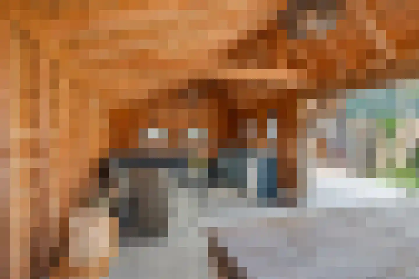 van de Geerstraat 13 Maurik thumbnail 53