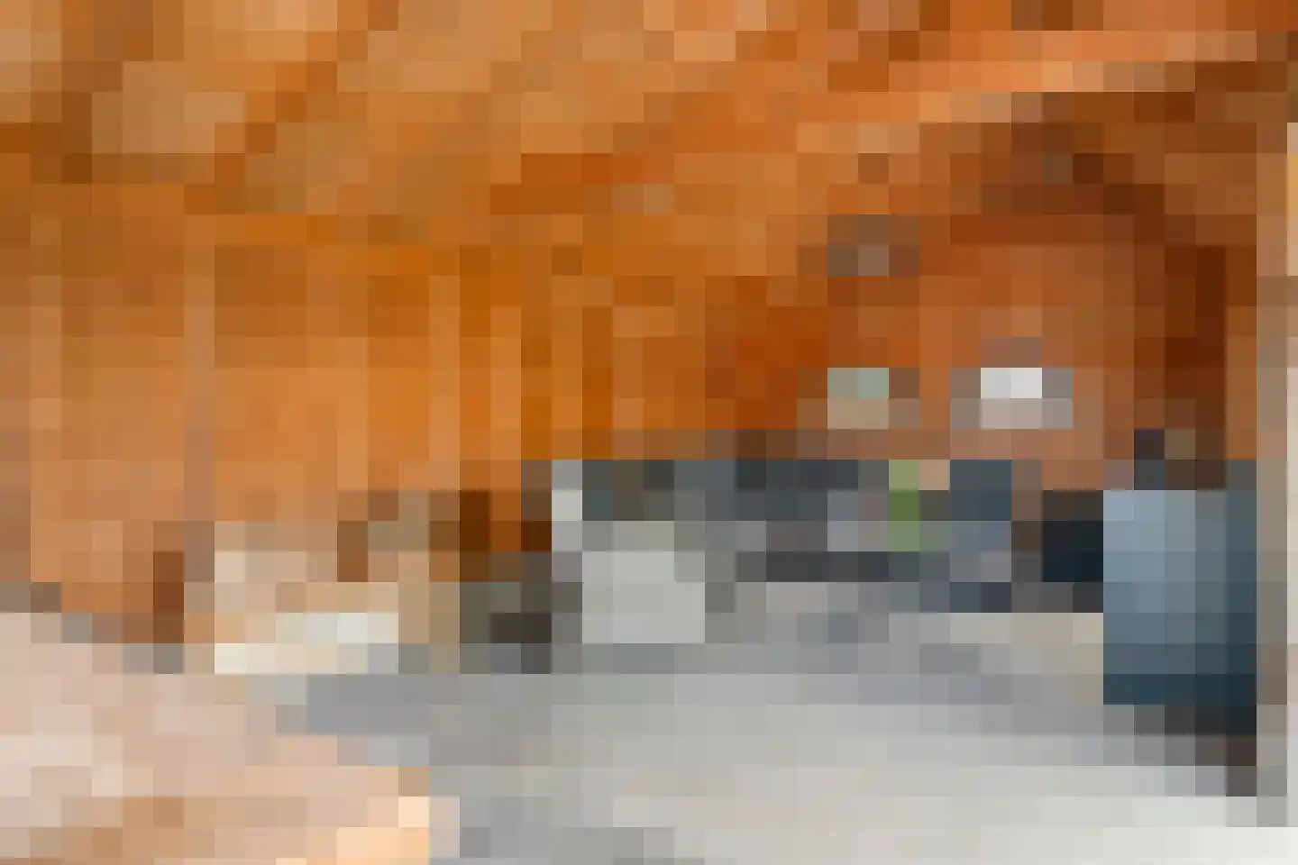 van de Geerstraat 13 Maurik thumbnail 54