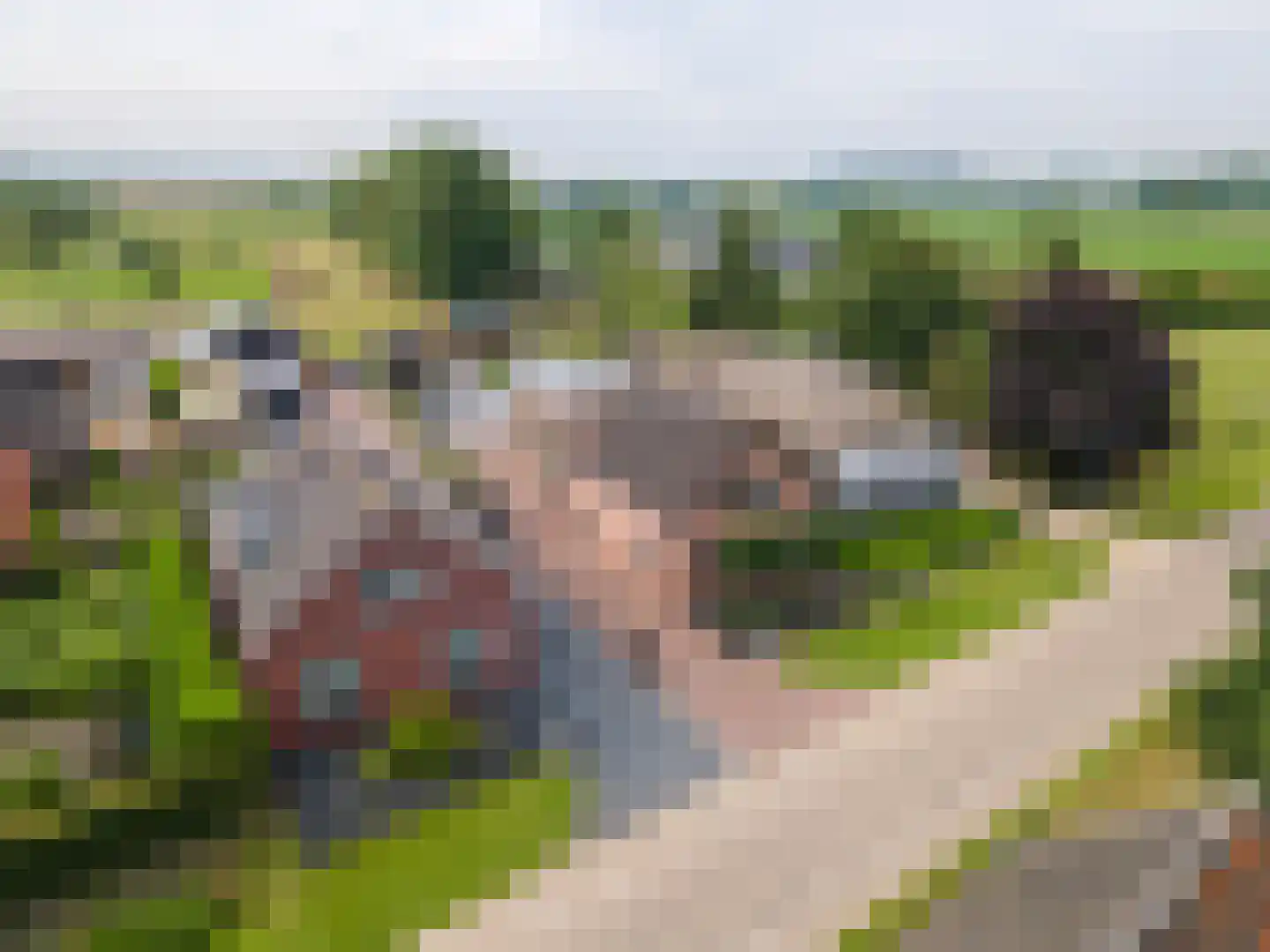 van de Geerstraat 13 Maurik thumbnail 64