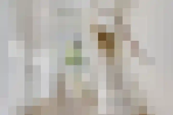Van de Goorstraat 11 Cromvoirt thumbnail 11