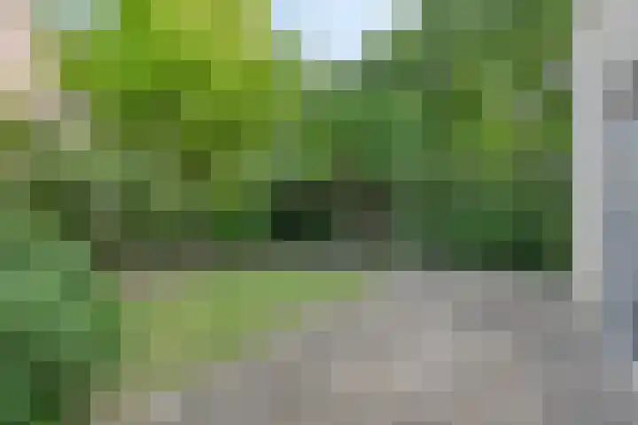 Van de Goorstraat 11 Cromvoirt thumbnail 13