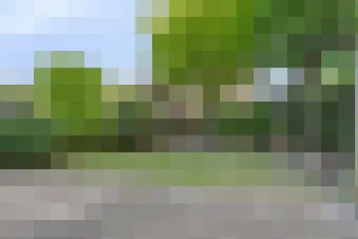 Van de Goorstraat 11 Cromvoirt thumbnail 14