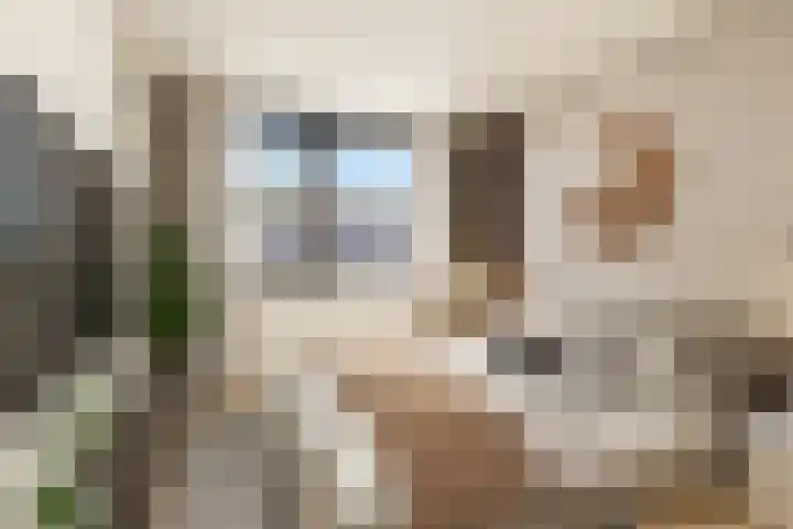 Van de Goorstraat 11 Cromvoirt thumbnail 17