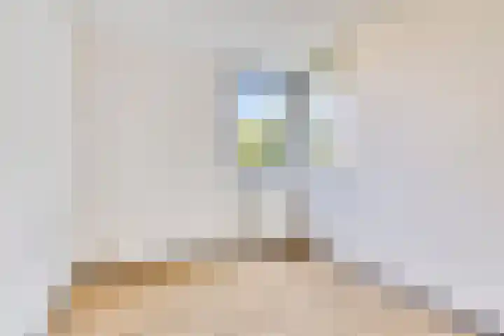 Van de Goorstraat 11 Cromvoirt thumbnail 19