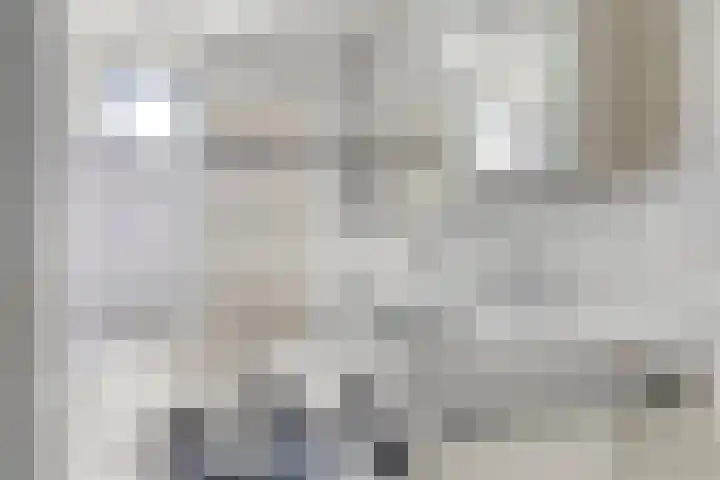 Van de Goorstraat 11 Cromvoirt thumbnail 22