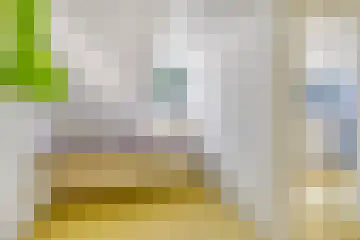Van de Goorstraat 11 Cromvoirt thumbnail 26