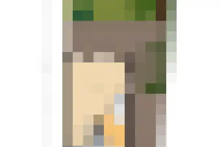 Van de Goorstraat 11 Cromvoirt thumbnail 34