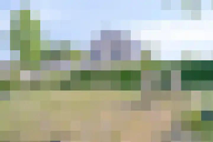 Van de Goorstraat 11 Cromvoirt thumbnail 36