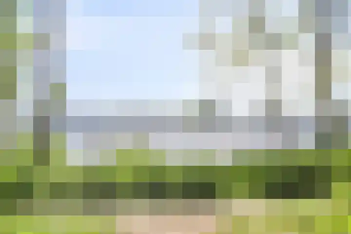 Van de Goorstraat 11 Cromvoirt thumbnail 37