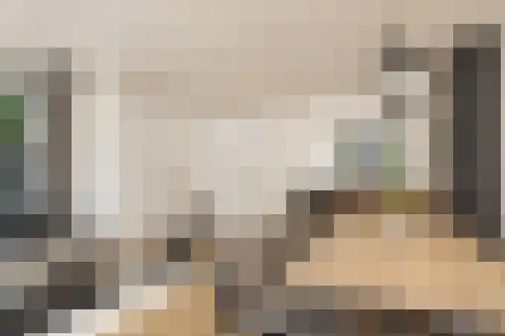 Van de Goorstraat 11 Cromvoirt thumbnail 7